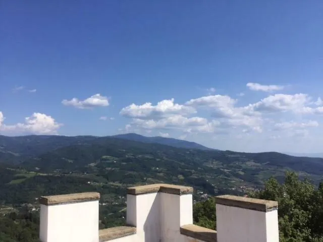 Hotel Castello Il Poggio Scopeti 0*,