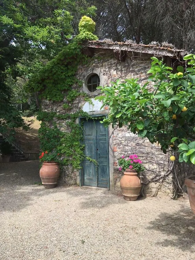 Hotel Castello Il Poggio Scopeti 0*,